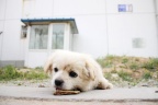 落寞20090513