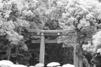神社