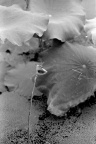 Scan-090728-0003