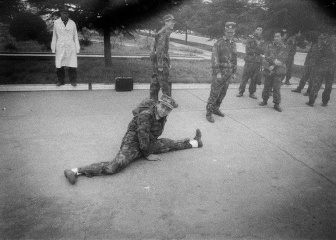 62080023