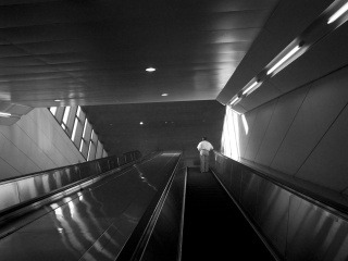 R0014476 x