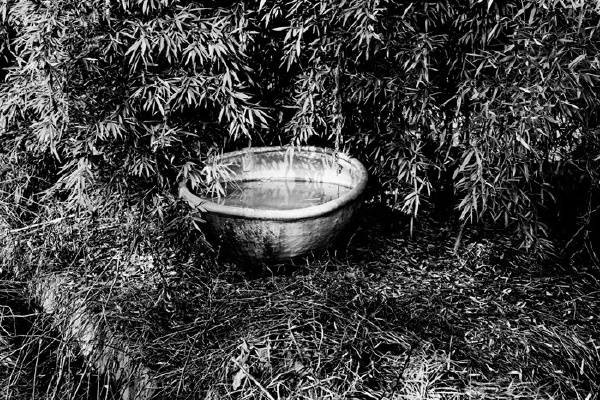 _MG_9736b 