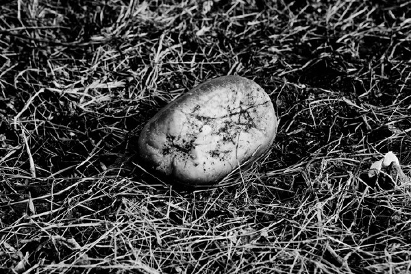 _MG_9759b 