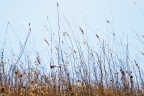 _MG_7159f
