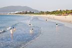 _MG_1071f