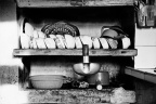 _MG_9770b 