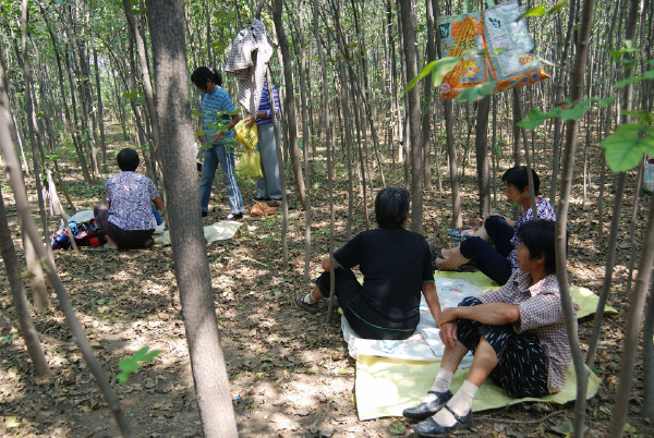 图8