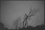 _DSC9344