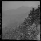 _DSC9856