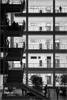 安大，博学北楼内天井