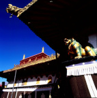 Rollei0233