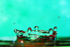 _DSC8758