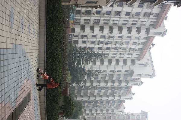 街景5