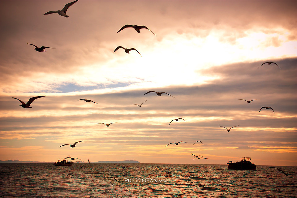 fan_20101001_481