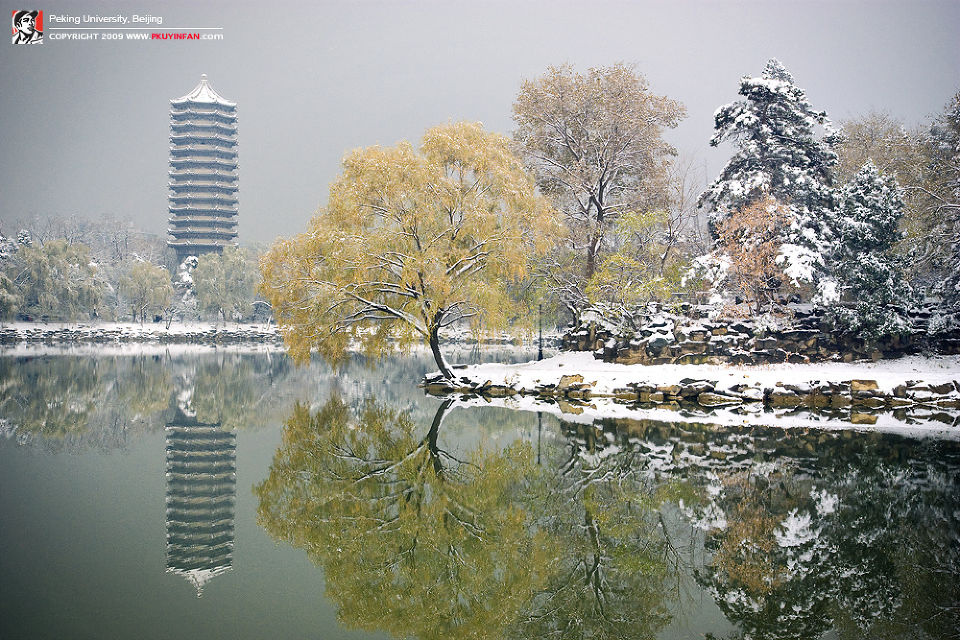 fan_20091112_028