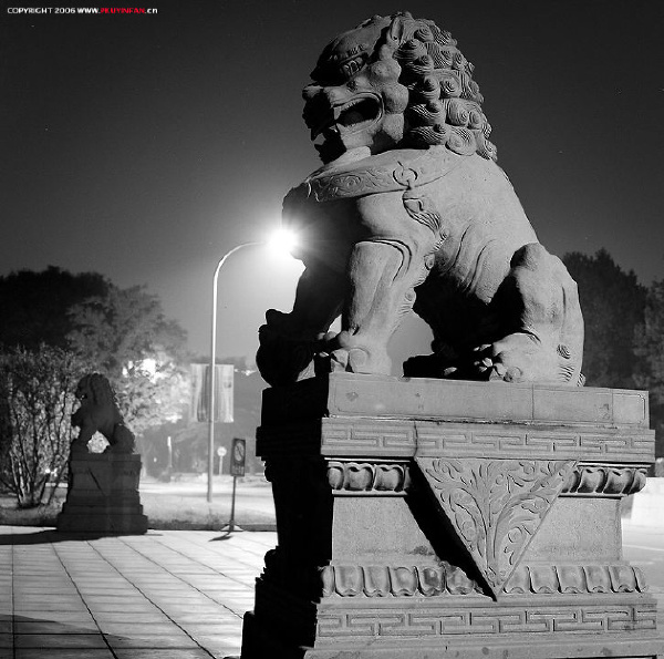 yin_200609_007a