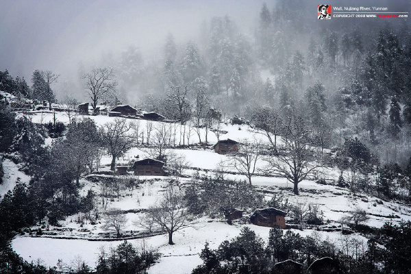 fan_20080119_1062