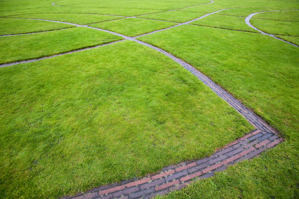 yin_200608_cx_020