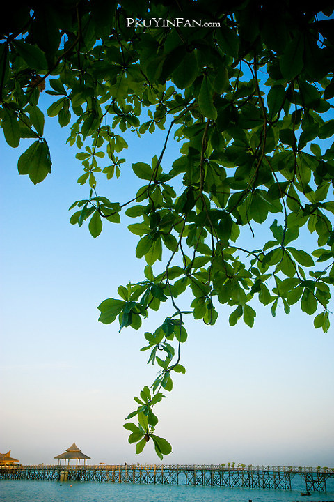 fan_20111001_284