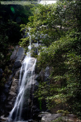 fan_20060322_0070