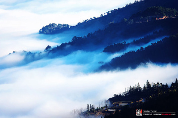 fan_20080209_278