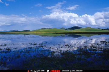yin_eg_011_E100VS_2005_08