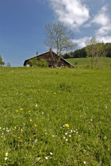 fan_20060325_0076