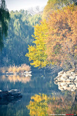 fan_20081105_028
