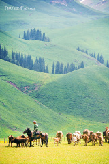 fan_20100611_1762