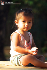 fan_20090204_1292