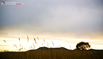 fan_20091002_185