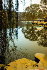 fan_20091112_121