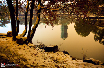 fan_20091112_130