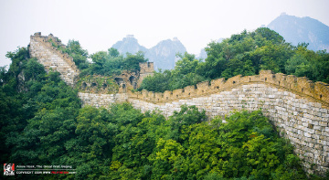 fan_20090816_084
