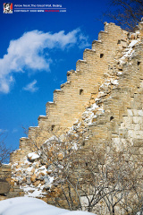 fan_20091113_055