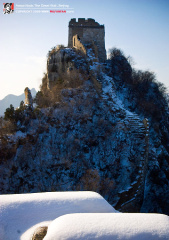 fan_20091113_065