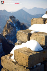 fan_20091113_082