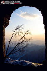 fan_20091113_155
