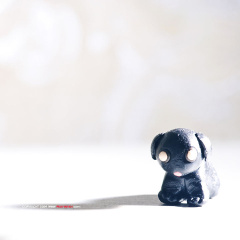 fan_20091101_082