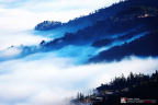fan_20080209_278