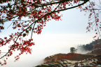 fan_20080209_113