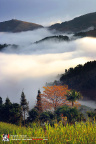fan_20080209_063