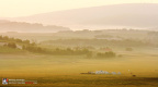 fan_20080719_0475