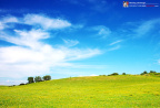 fan_20080719_0302