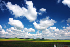 fan_20080719_0023