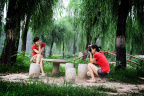 fan_20080808_107b