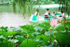 fan_20080808_057