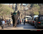 fan_20070121_0366