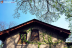 fan_20080413_009