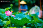 fan_20090802_073